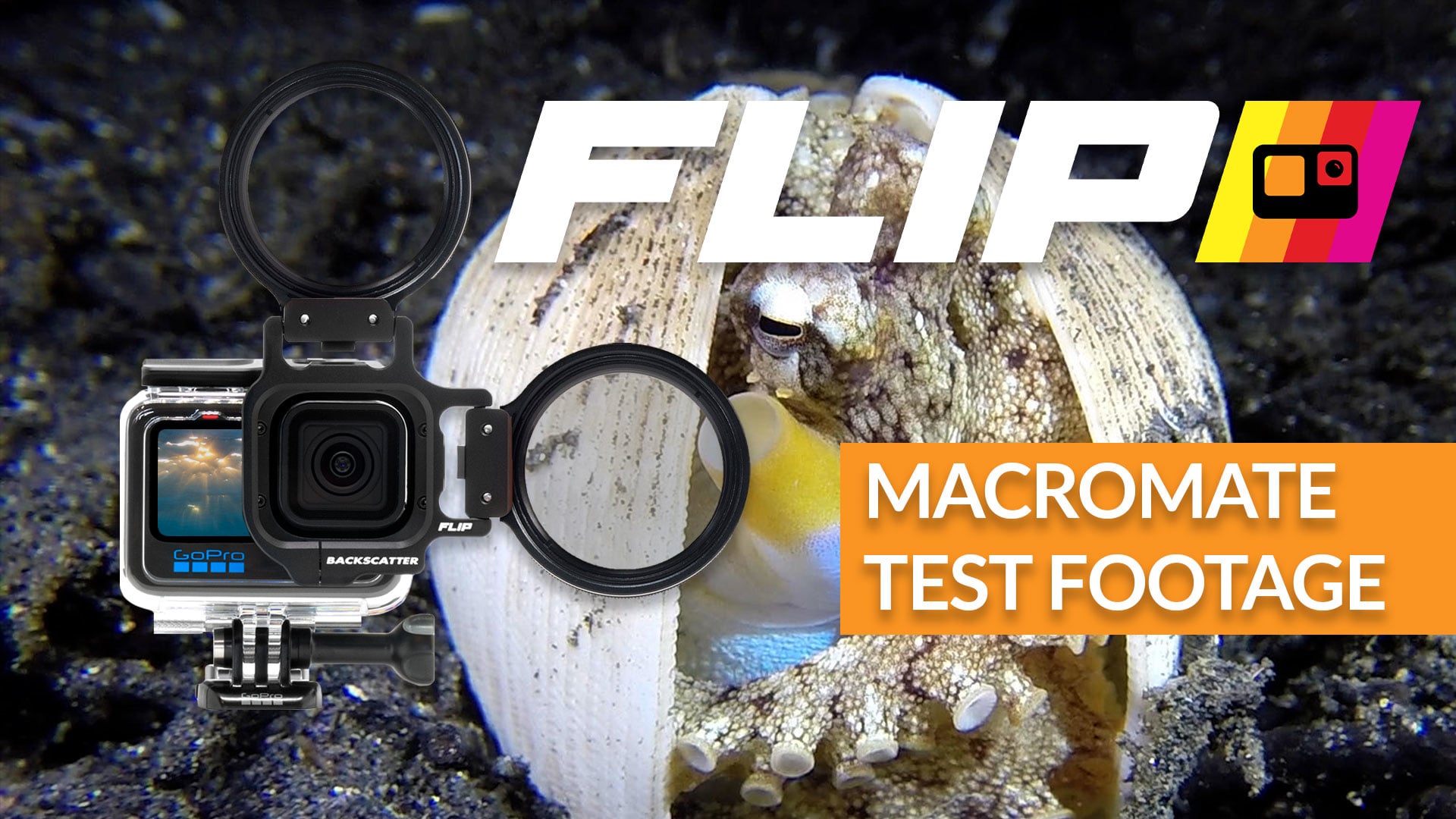 Video Tutorials - MACROMATE MINI - Get Stunning Macro Video Underwater ...
