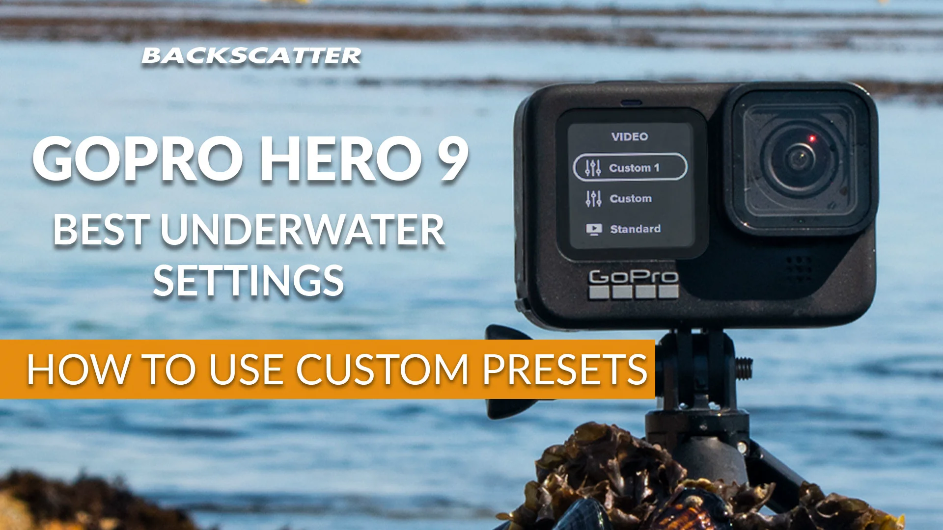 GoPro Hero 9 Best Underwater Settings How To Use Custom Presets on Vimeo