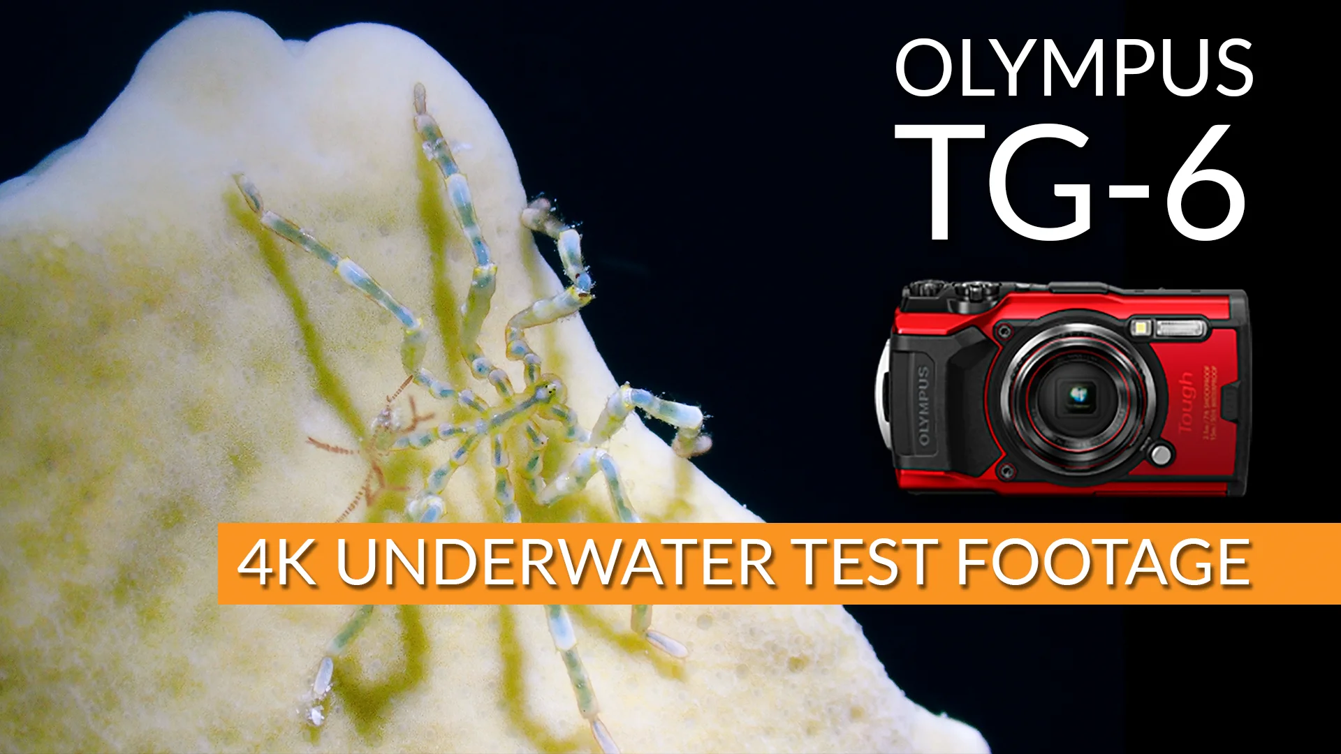 Olympus Tough TG-6 Waterproof Camera Olympus Tough TG-6 Waterproof Camera