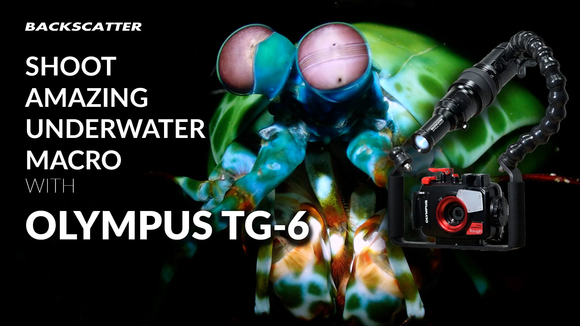 OM System TG-7, TG-6 & TG-5 Underwater Housing PT-059 OM System TG-7, TG-6 & TG-5 Underwater Housing PT-059