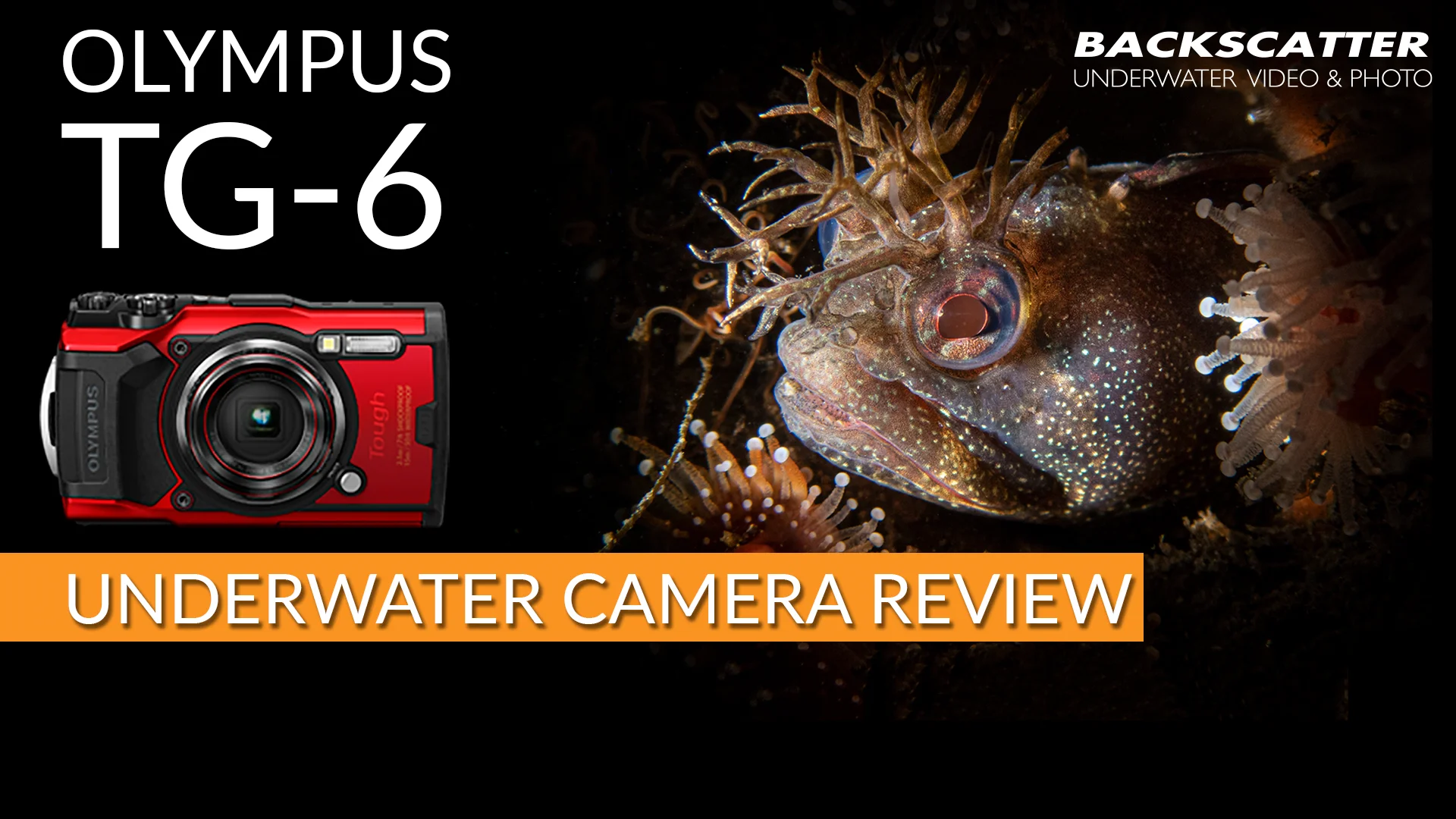 Olympus Tough TG-6 Waterproof Camera Olympus Tough TG-6 Waterproof Camera