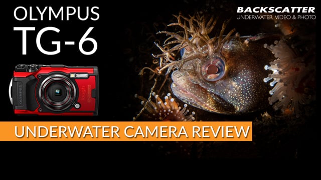 Olympus TG-6 Underwater Camera Review
