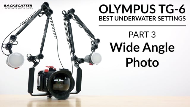 OM TG-7 | Olympus TG-6 | Best Underwater Camera Settings | Part 3 - Wide Angle Photo