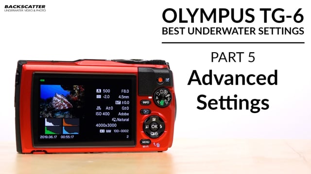 OM TG-7 | Olympus TG-6 | Advanced Settings | Best Underwater Camera Settings: Part 5