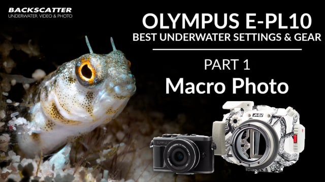 olympus epl 10 underwater