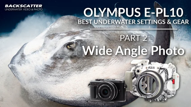 GoPro HERO 9 Best Underwater Photography Settings - Underwater Photography  - Backscatter