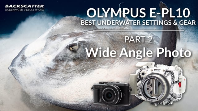 Olympus E-PL10 | Best Underwater Camera Settings | Part 2 - Wide Angle Photo