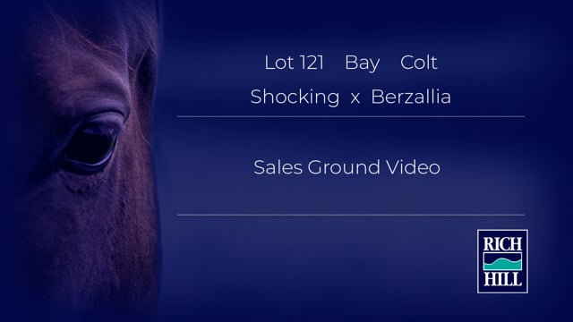 Lot 121