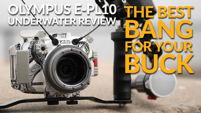 Olympus EPL-10 | Underwater Camera & Housing Review