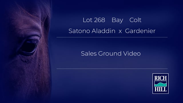 Lot 268