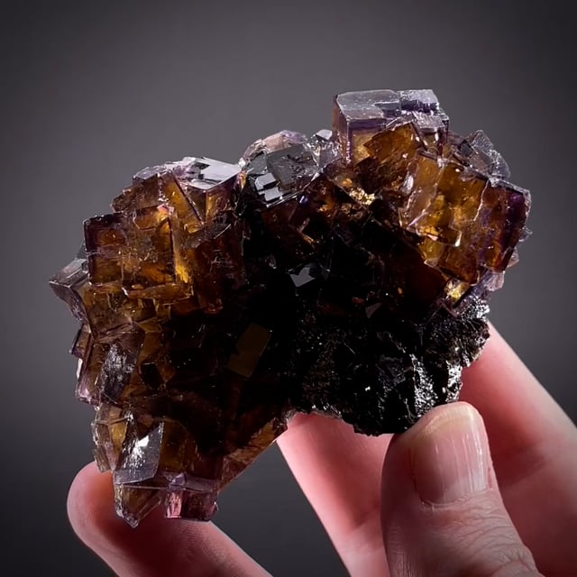 Fluorite on Sphalerite (ex Ross Lillie)