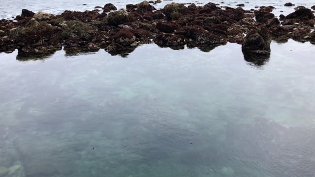 March New Moon - Emotional Healing Water
