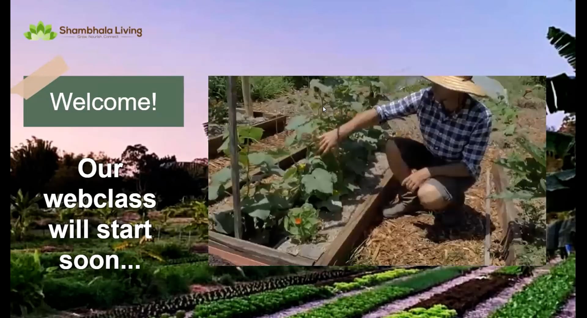 3 Secrets Food Growing Webclass on Vimeo