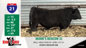 Lot #21 - MARK'S BEACON 3J