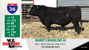 Lot #26 - MARK'S MAINLINE 4J