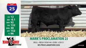 Lot #25 - MARK'S PROCLAMATION 2J