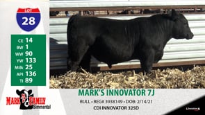 Lot #28 - MARK'S INNOVATOR 7J