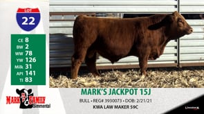 Lot #22 - MARK'S JACKPOT 15J