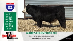 Lot #32 - MARK'S FOCUS POINT 20J