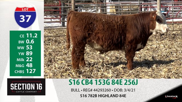 Lot #37 - S16 CB4 153G 84E 256J