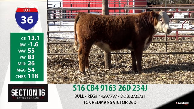 Lot #36 - S16 CB4 9163 26D 234J