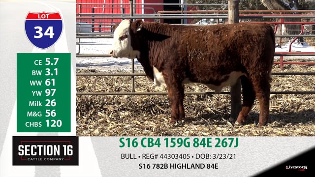 Lot #34 - S16 CB4 159G 84E 267J