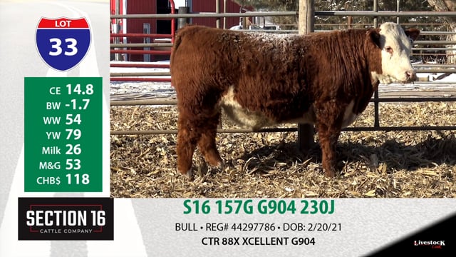 Lot #33 - S16 157G G904 230J