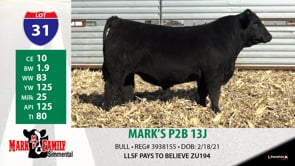 Lot #31 - MARK'S P2B 13J