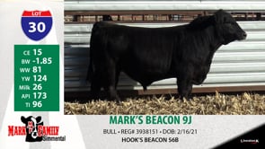 Lot #30 - MARK'S BEACON 9J