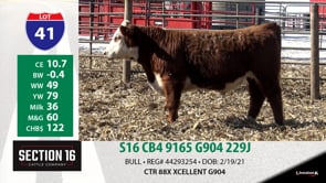 Lot #41 - S16 CB4 9165 G904 229J