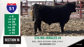 Lot #51 - S16 MA JANGLES J4