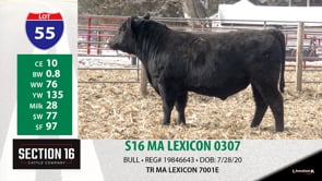 Lot #55 - S16 MA LEXICON 0307