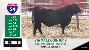 Lot #54 - S16 MA LEXICON 0319