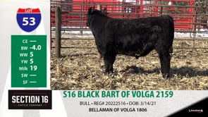 Lot #53 - S16 BLACK BART OF VOLGA 2159