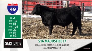 Lot #49 - S16 MA JUSTICE J7