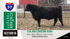 Lot #57 - S16 MA LEXICON 0304