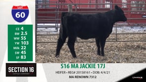 Lot #60 - S16 MA JACKIE 17J