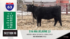 Lot #63 - S16 MA JELAINE 2J