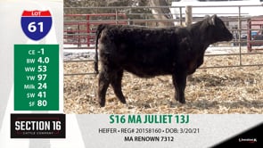 Lot #61 - S16 MA JULIENT 13J