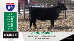 Lot #64 - S16 MA JUSTINE 9J