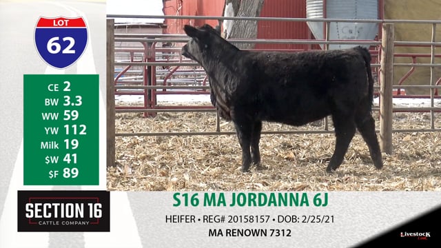 Lot #62 - S16 MA JORDANNA 6J