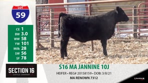 Lot #59 - S16 MA JANNINE 10J