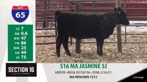 Lot #65 - S16 MA JASMINE 5J
