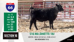 Lot #66 - S16 MA JANETTE 18J