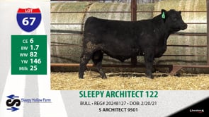 Lot #67 - SLEEPY ARCHITECT 122