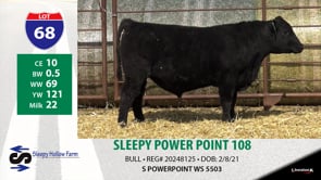 Lot #68 - SLEEPY POWER POINT 108