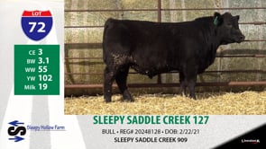 Lot #72 - SLEEPY SADDLE CREEK 127