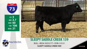 Lot #73 - SLEEPY SADDLE CREEK 139