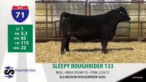 Lot #71 - SLEEPY ROUGHRIDER 133