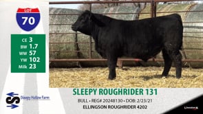 Lot #70 - SLEEPY ROUGHRIDER 131